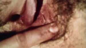 Vintage Porn 1970s - Hairy Pussy Brunette Sex